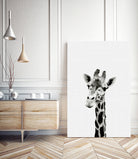 Giraffe Portrait by Justinas Jokubauskas on GIANT ART - black photo manipulation