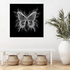 Black and White Butterfly Design by Brigitte Carre on GIANT ART - black digital painting