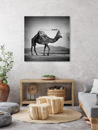 Camel Back by Sarah DeRemer on GIANT ART - gray photo manipulation