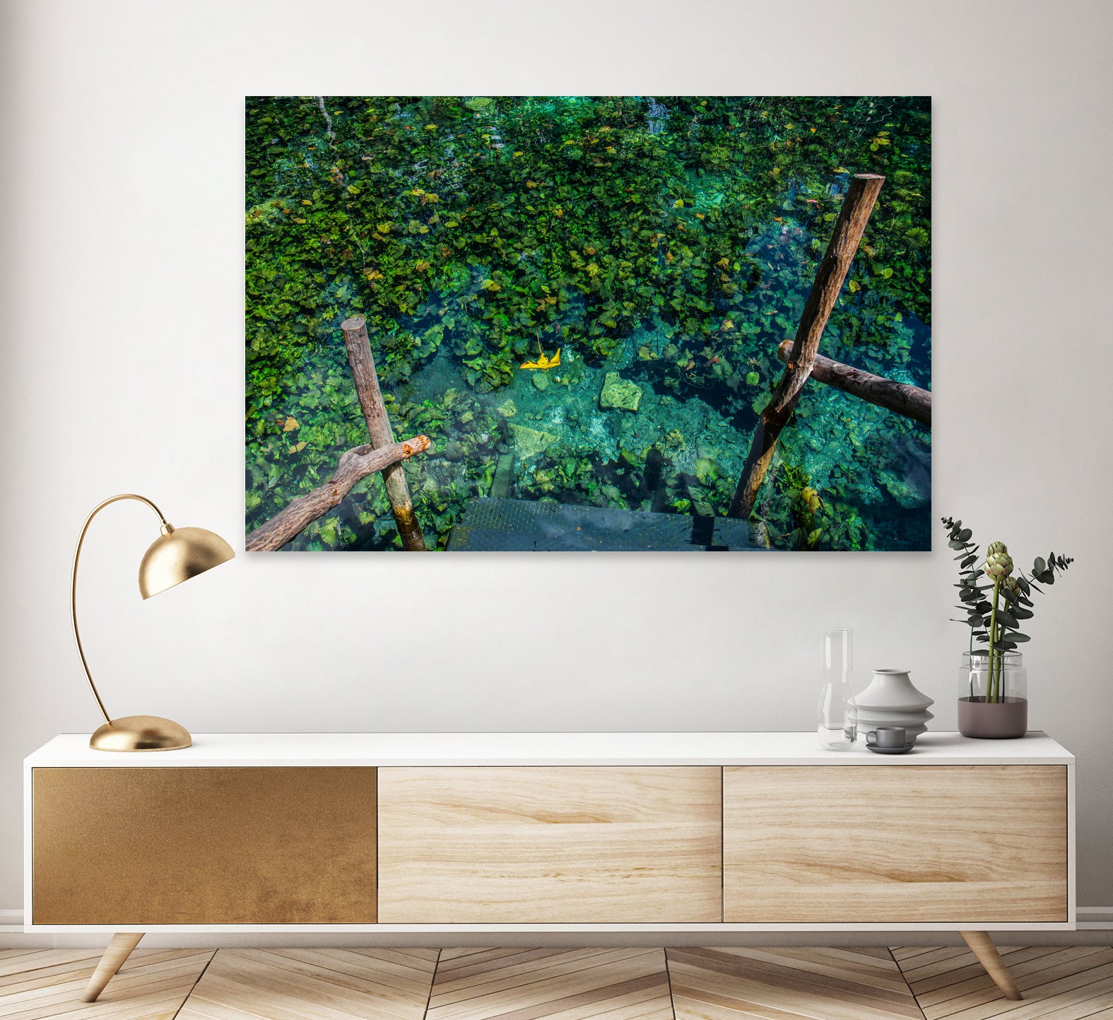 Cenote, Quintana Roo. Mexico by Maricela Castellanos on GIANT ART - green photo illustration