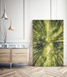 Bamboo Forest III by Pascal Deckarm on GIANT ART - green photo manipulation