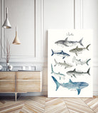Sharks by Amy Hamilton on GIANT ART - blue mixed media