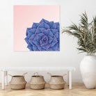 Big Echeveria Design by Brigitte Carre on GIANT ART - blue digital painting