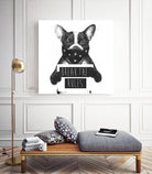 Rebel dog by Solti Balázs on GIANT ART - white digital drawing