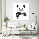Funny panda by Solti Balázs on GIANT ART - white digital drawing