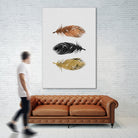 Feathers by Dana Shek on GIANT ART - white photo illustration