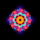 abstract flower3 by Ilya Shapko on GIANT ART - black vector illustration