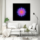 abstract flower1 by Ilya Shapko on GIANT ART - fuchsia vector illustration