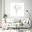 Magnolia Flower Print #4 by Parinta Sofia Stefanopoulou on GIANT ART - white digital drawing