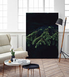 Fir tree by Mikhail Zhirnov on GIANT ART - green photo illustration