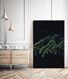 Fir tree by Mikhail Zhirnov on GIANT ART - green photo illustration