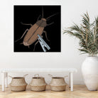 Roach-Clip by Proper Ganders on GIANT ART - brown vector illustration