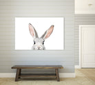 Bunny by Kathrin Pienaar on GIANT ART - gray photo manipulation