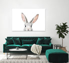 Bunny by Kathrin Pienaar on GIANT ART - gray photo manipulation