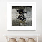 Agorafobia by Laura Nagel on GIANT ART - black mixed media