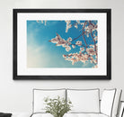 Spring Cherry Sakura White Flowers,Toning by Anna Matveeva on GIANT ART - blue photo illustration