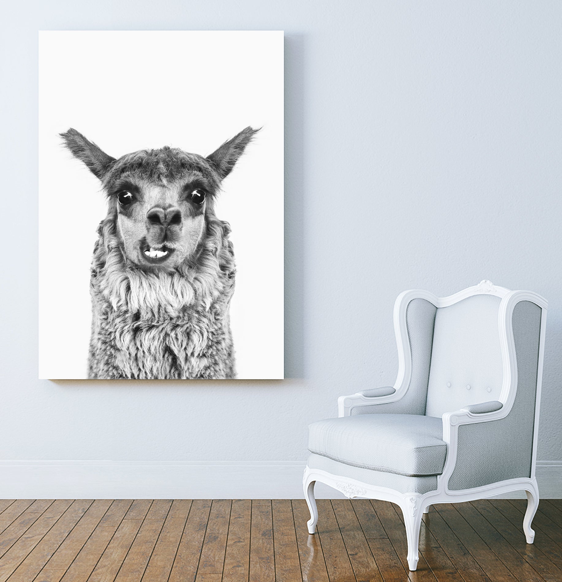 Happy Llama by Kathrin Pienaar on GIANT ART - gray photo manipulation