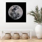 Super Moon by Lorenzo Bustillo on GIANT ART - gray photo illustration