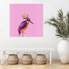 QUEENFISHER by Jonas Loose on GIANT ART - pink photo manipulation