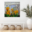 Victorian Greenhouse by Matthew Holden Bates on GIANT ART - white botanical