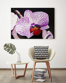 Purple Orchids by Matthew Holden Bates on GIANT ART - purple botanical