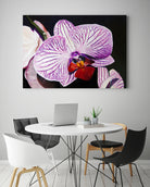 Purple Orchids by Matthew Holden Bates on GIANT ART - purple botanical