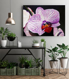 Purple Orchids by Matthew Holden Bates on GIANT ART - purple botanical
