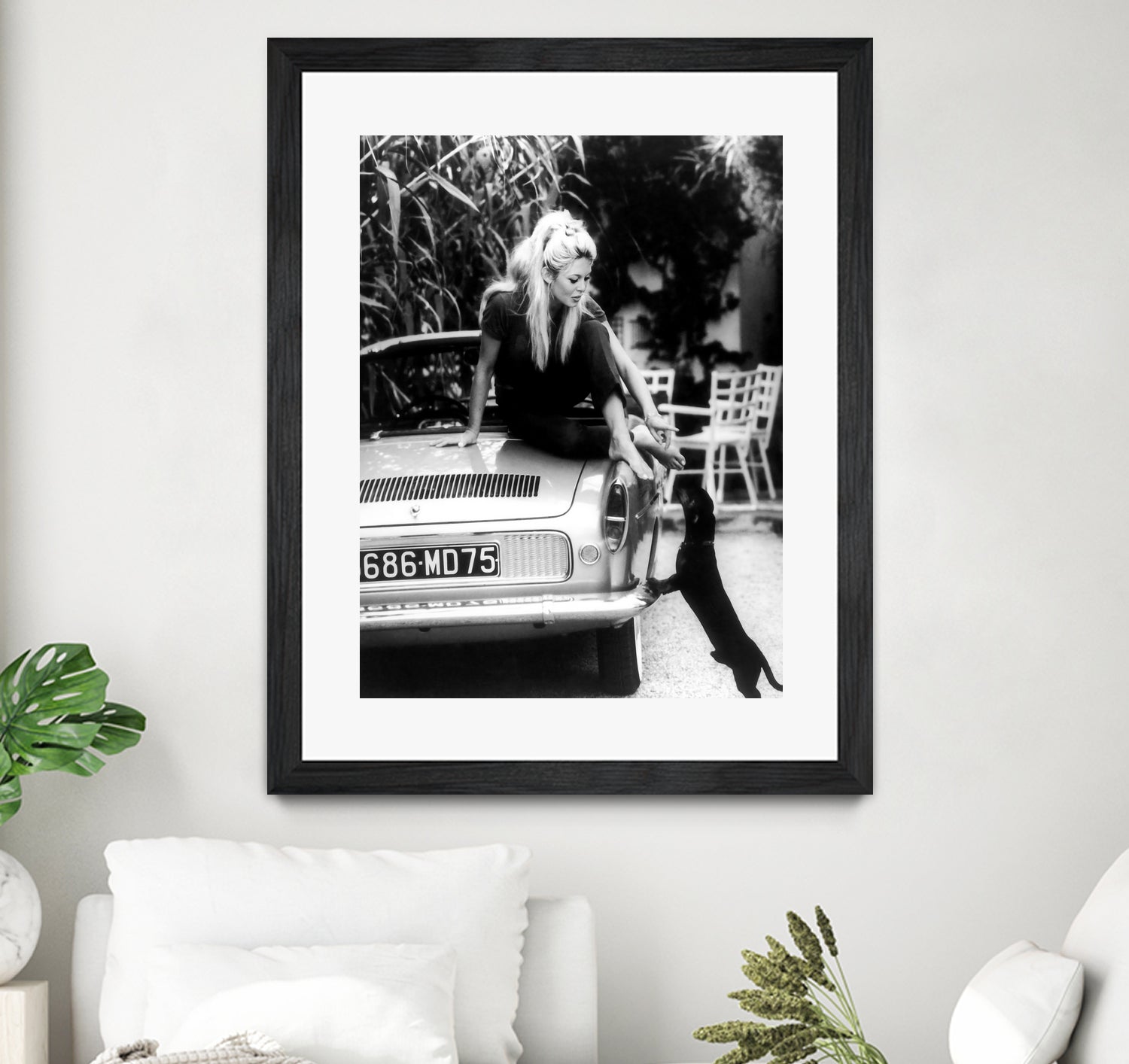 Brigitte Bardot with her dog in St. Tropez, 1962 by M Studio on GIANT ART - black and white photographie bardot