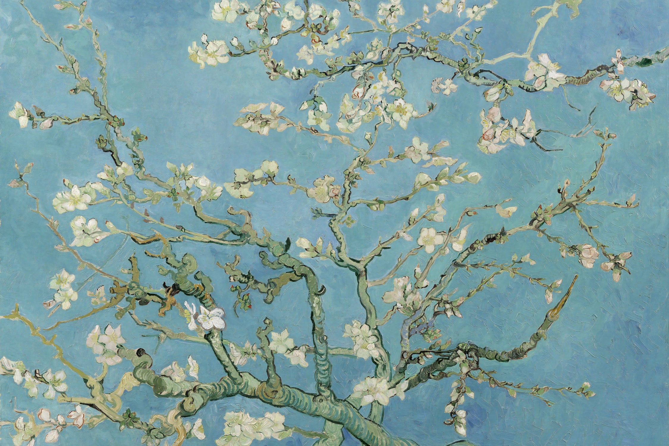 Almond Blossoms by Vincent van Gogh on GIANT ART - masters masters