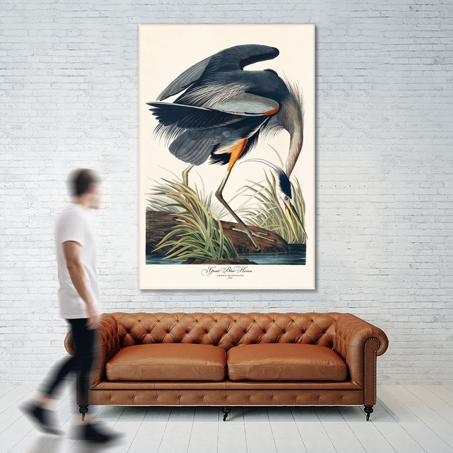 Great Blue Heron by John James Audubon on GIANT ART - green botanical nature