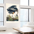 Great Blue Heron by John James Audubon on GIANT ART - green botanical nature