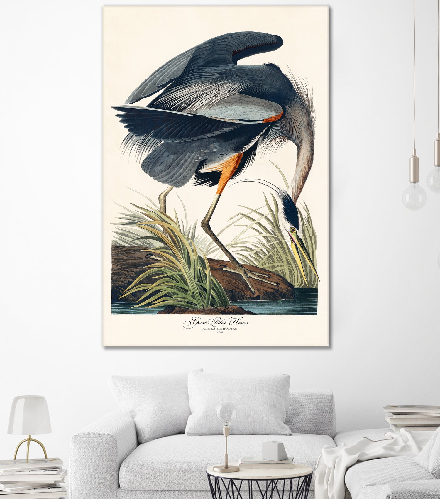 Great Blue Heron by John James Audubon on GIANT ART - green botanical nature
