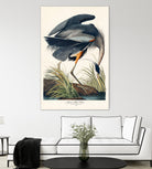 Great Blue Heron by John James Audubon on GIANT ART - green botanical nature