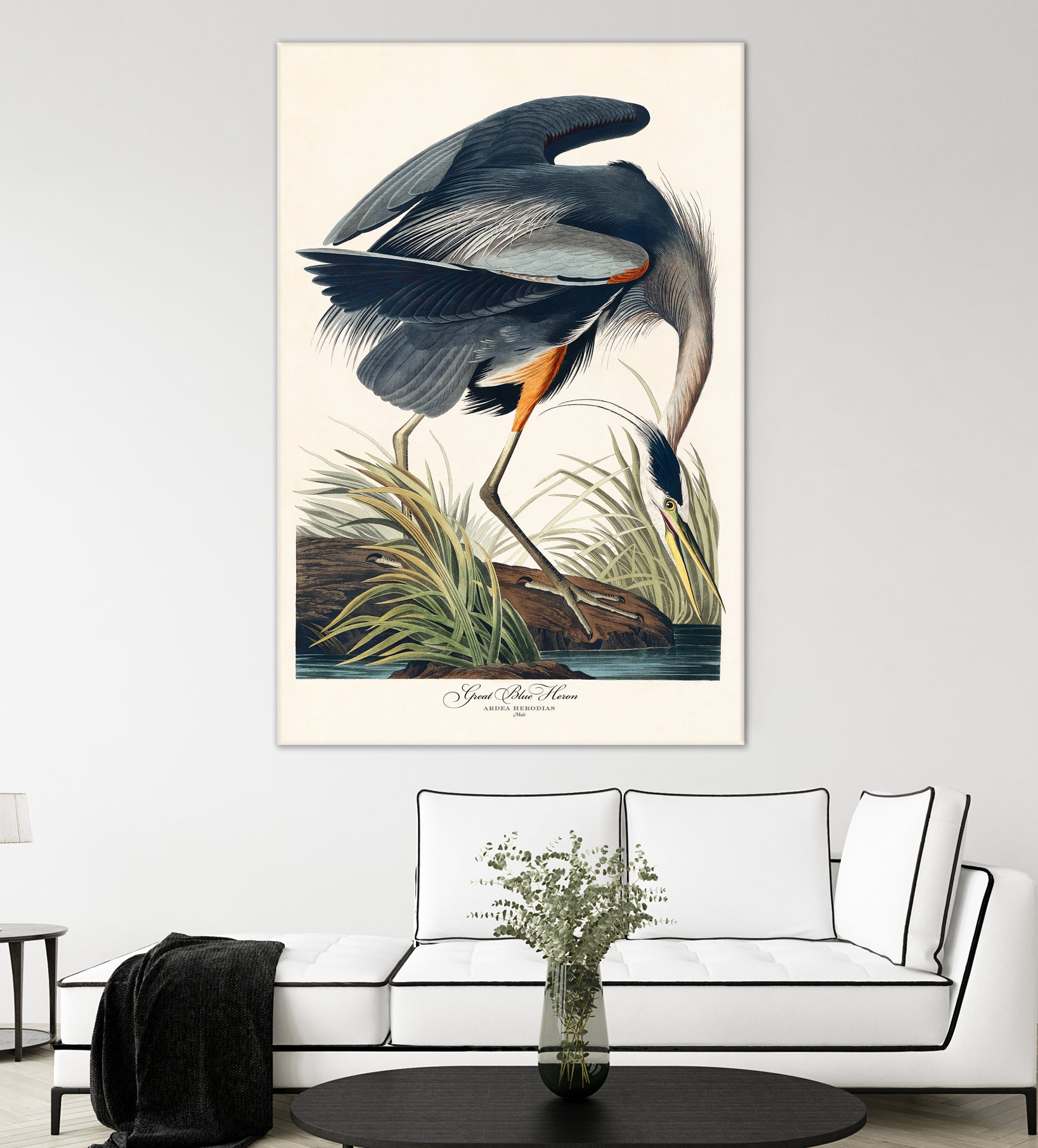Great Blue Heron by John James Audubon on GIANT ART - green botanical nature