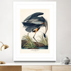 Great Blue Heron by John James Audubon on GIANT ART - green botanical nature