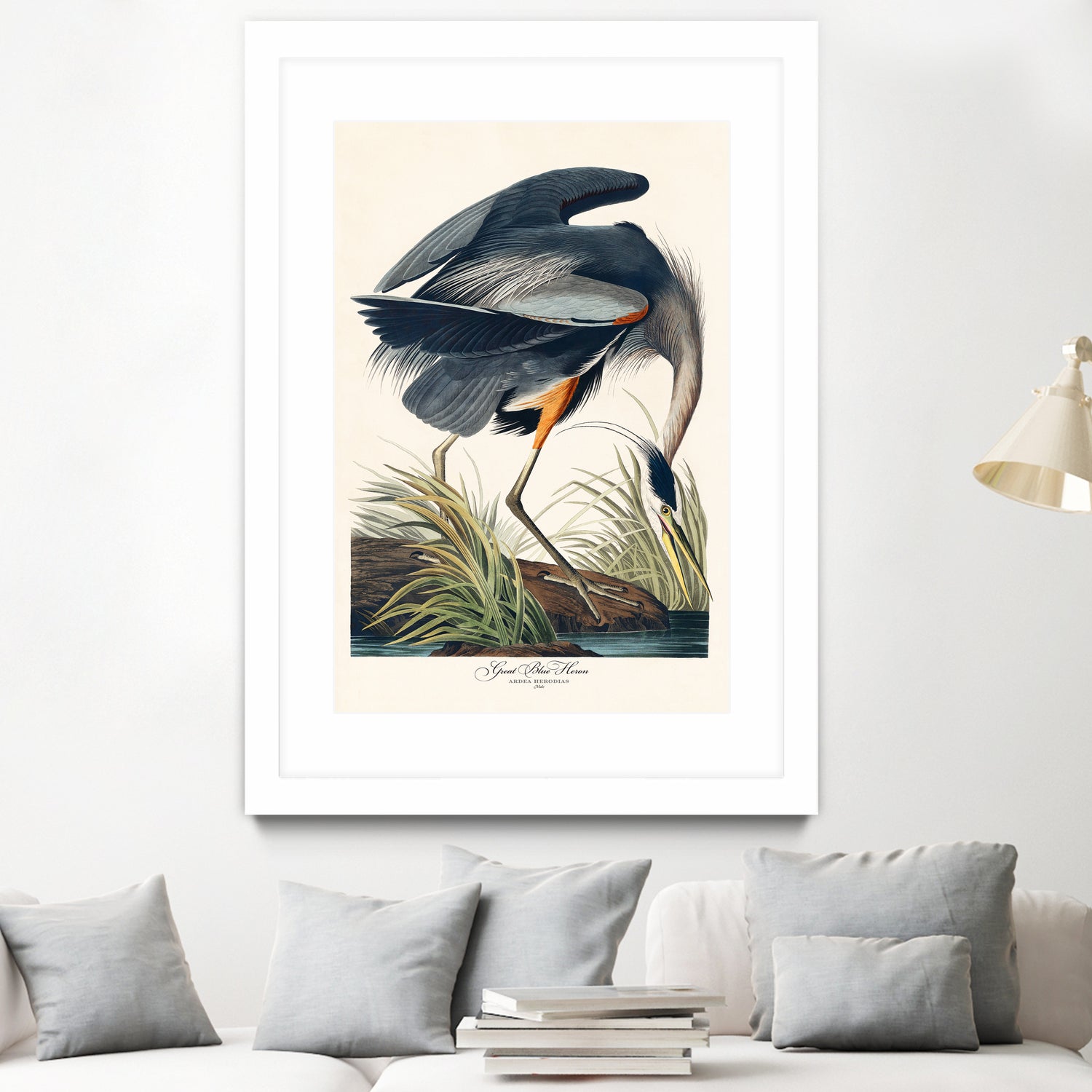 Great Blue Heron by John James Audubon on GIANT ART - green botanical nature