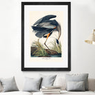 Great Blue Heron by John James Audubon on GIANT ART - green botanical nature