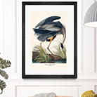 Great Blue Heron by John James Audubon on GIANT ART - green botanical nature