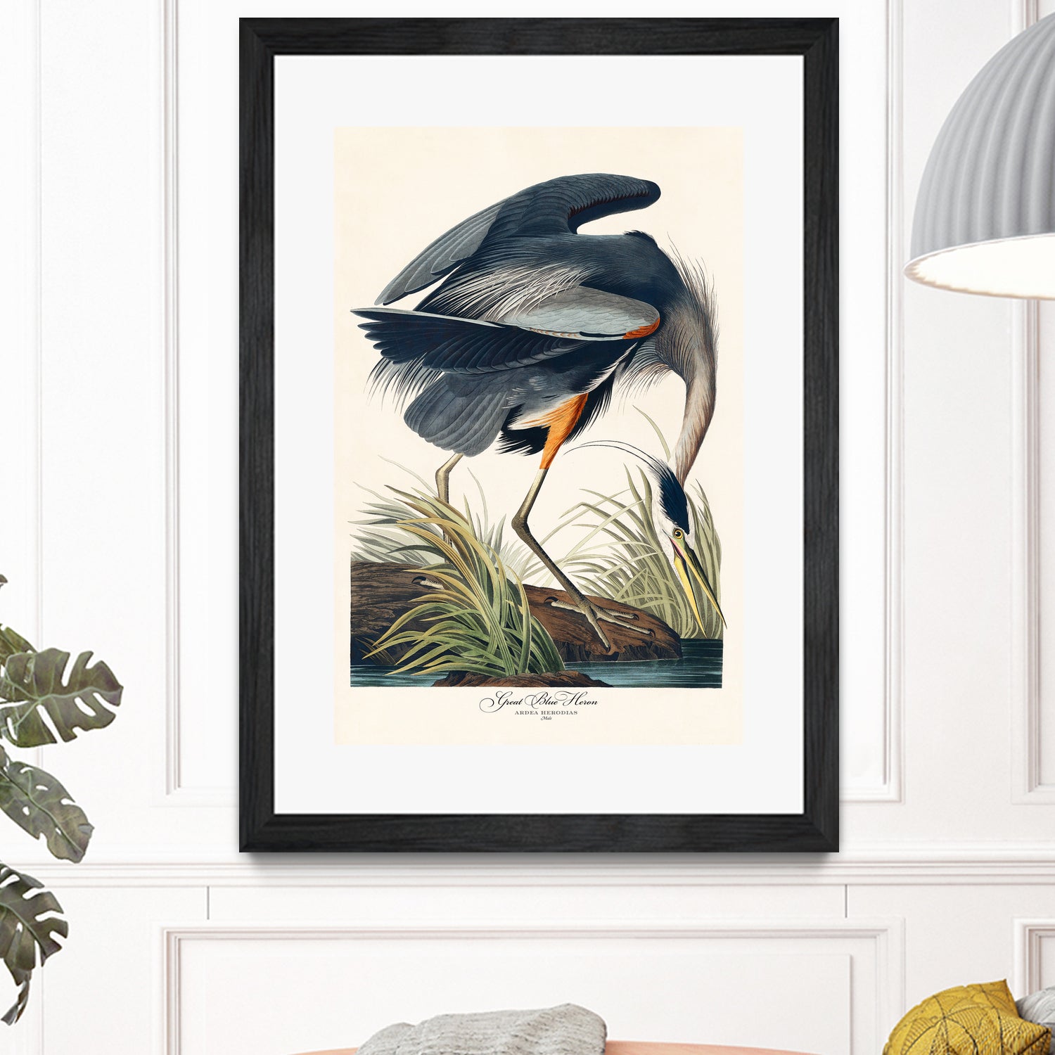 Great Blue Heron by John James Audubon on GIANT ART - green botanical nature