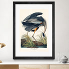 Great Blue Heron by John James Audubon on GIANT ART - green botanical nature