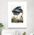 Great Blue Heron by John James Audubon on GIANT ART - green botanical nature