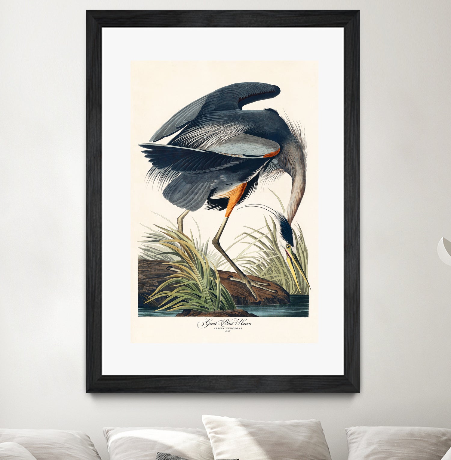 Great Blue Heron by John James Audubon on GIANT ART - green botanical nature