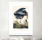 Great Blue Heron by John James Audubon on GIANT ART - green botanical nature