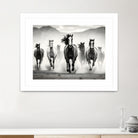 Run by M Studio on GIANT ART - white black and white  horse