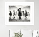 Run by M Studio on GIANT ART - white black and white  horse