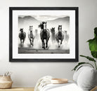 Run by M Studio on GIANT ART - white black and white  horse