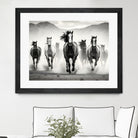 Run by M Studio on GIANT ART - white black and white  horse