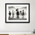 Run by M Studio on GIANT ART - white black and white  horse