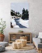 Winter Trails by Pamela Munger on GIANT ART - brown landscape