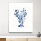Shibori Coral I by Mary Urban on GIANT ART - blue